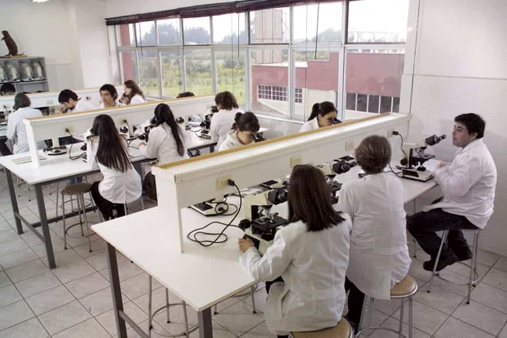 Ictus: individuato un farmaco sperimentale che riduce il rischio di recidiva