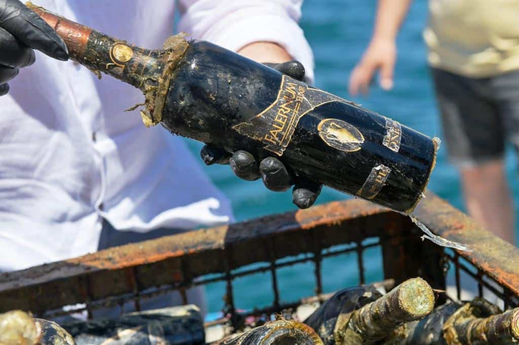 Distilleria Petrone: l'enogastronomia che sa di scienza