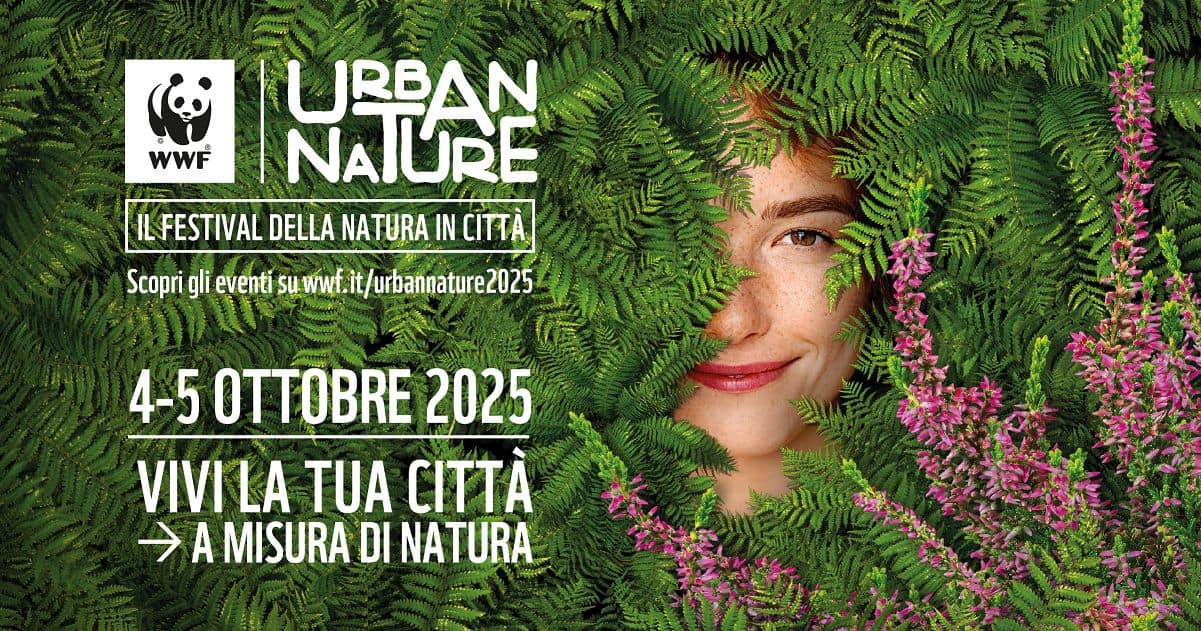 Immagine articolo
