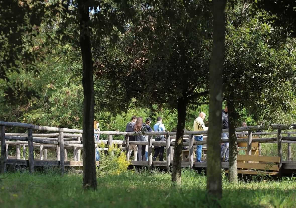 Parchi a Tavola: la biodiversità del Vesuvio come modello di futuro sostenibile