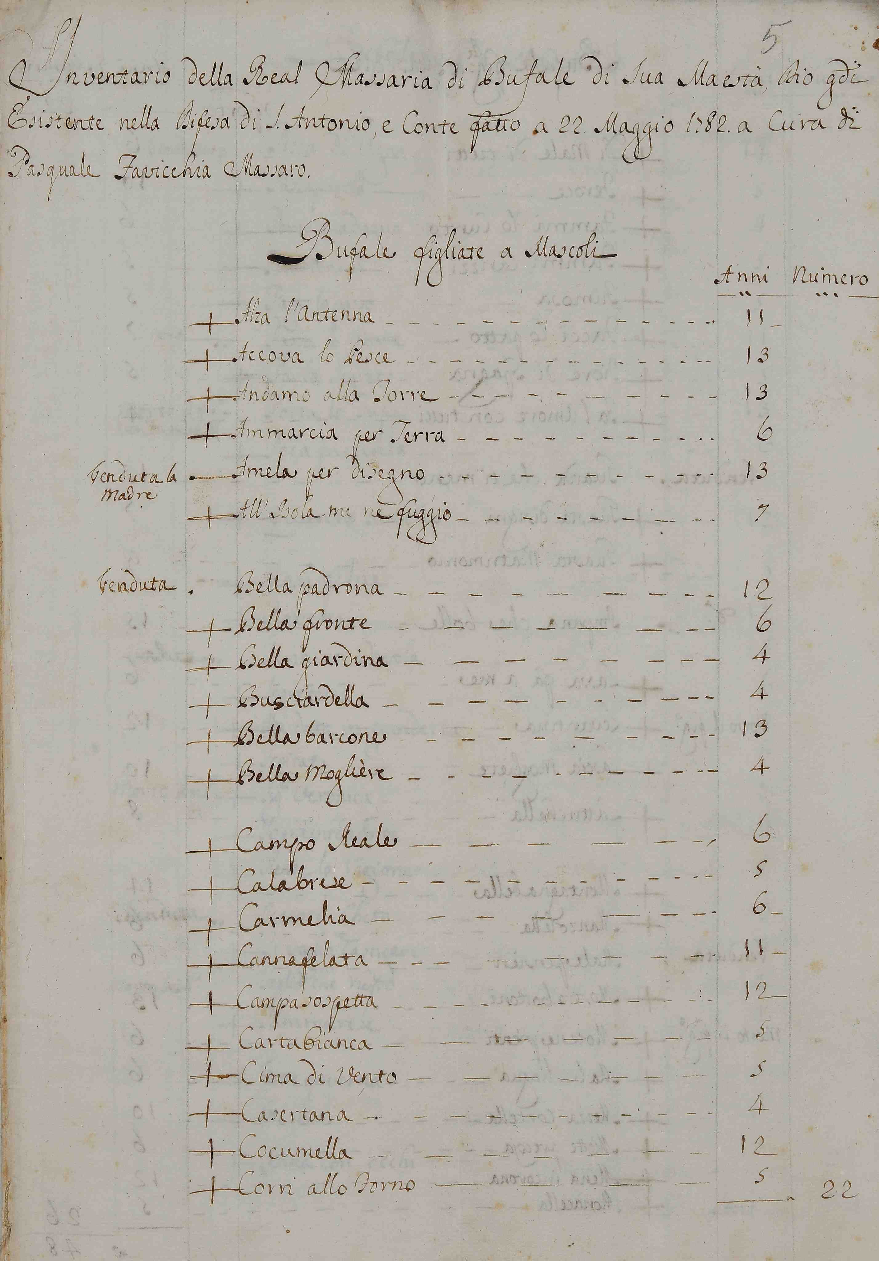 “La Dama bianca alla tavola del Re. Mozzarella e allevamento bufalino negli archivi dei Borbone”: la mostra all'Archivio di Stato di Caserta