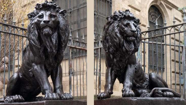 I guardiani di bronzo tornano a casa: i leoni di Solari all'Accademia di Belle Arti