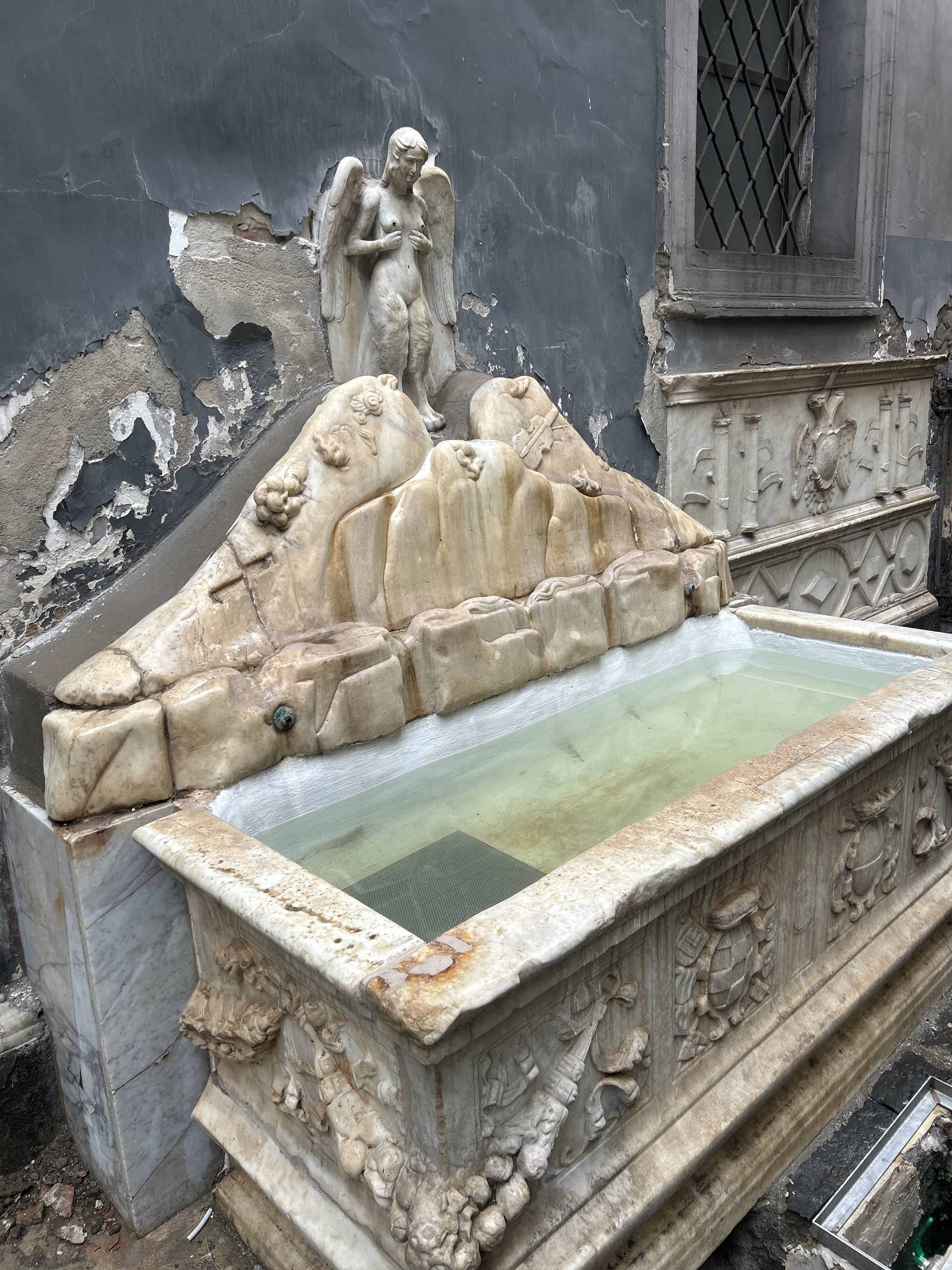 Immagine articolo