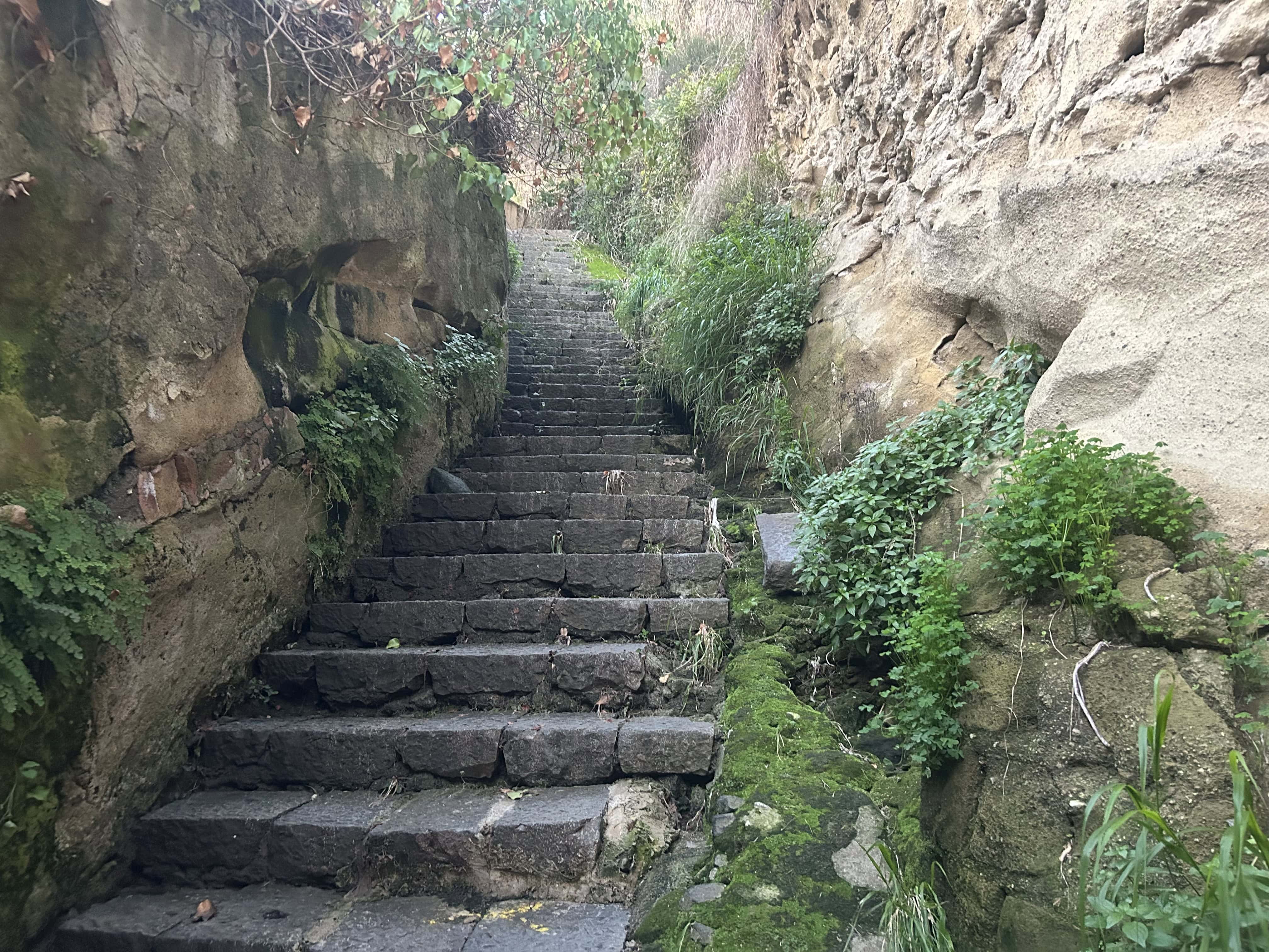 Immagine articolo