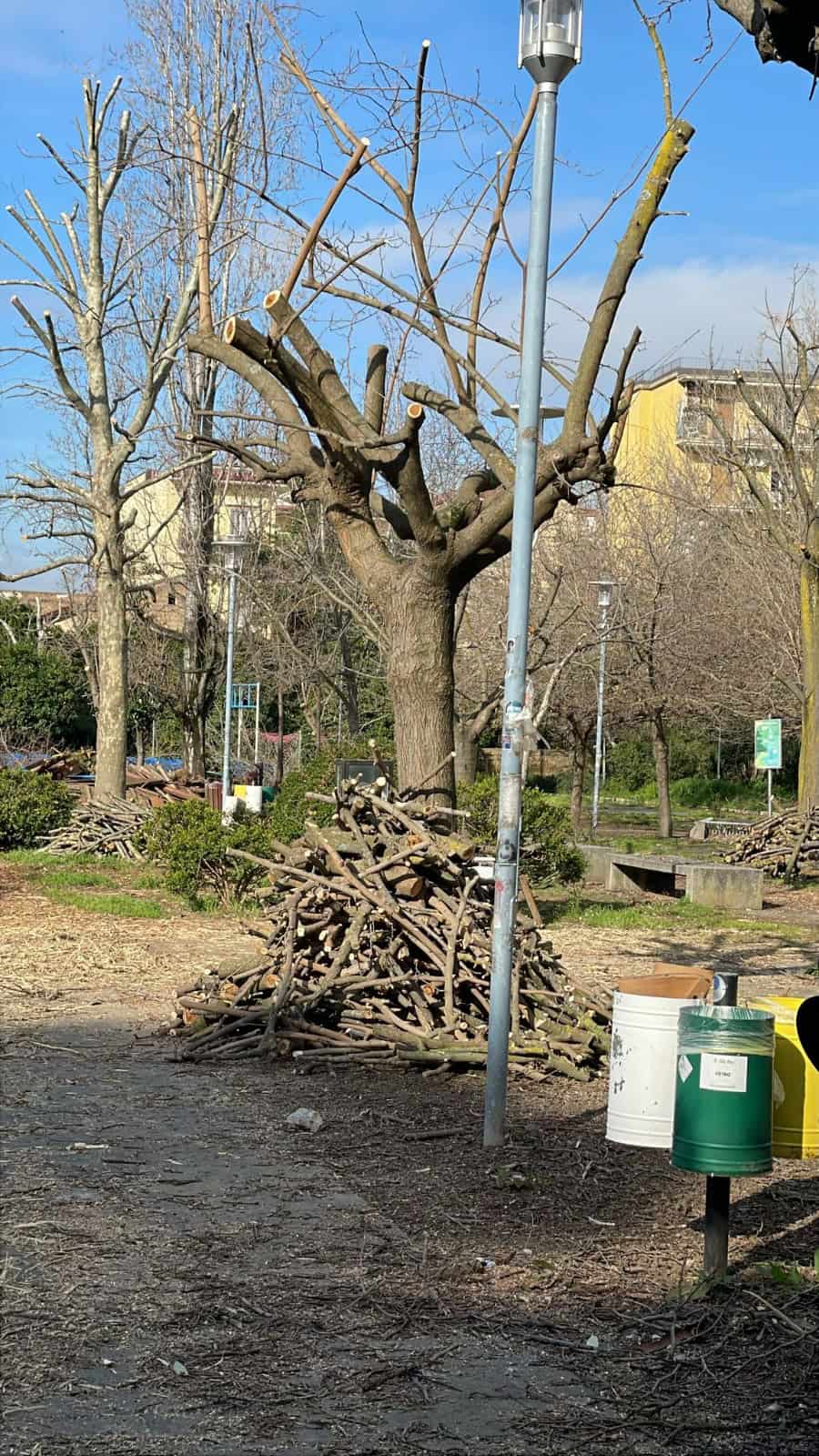 Immagine articolo