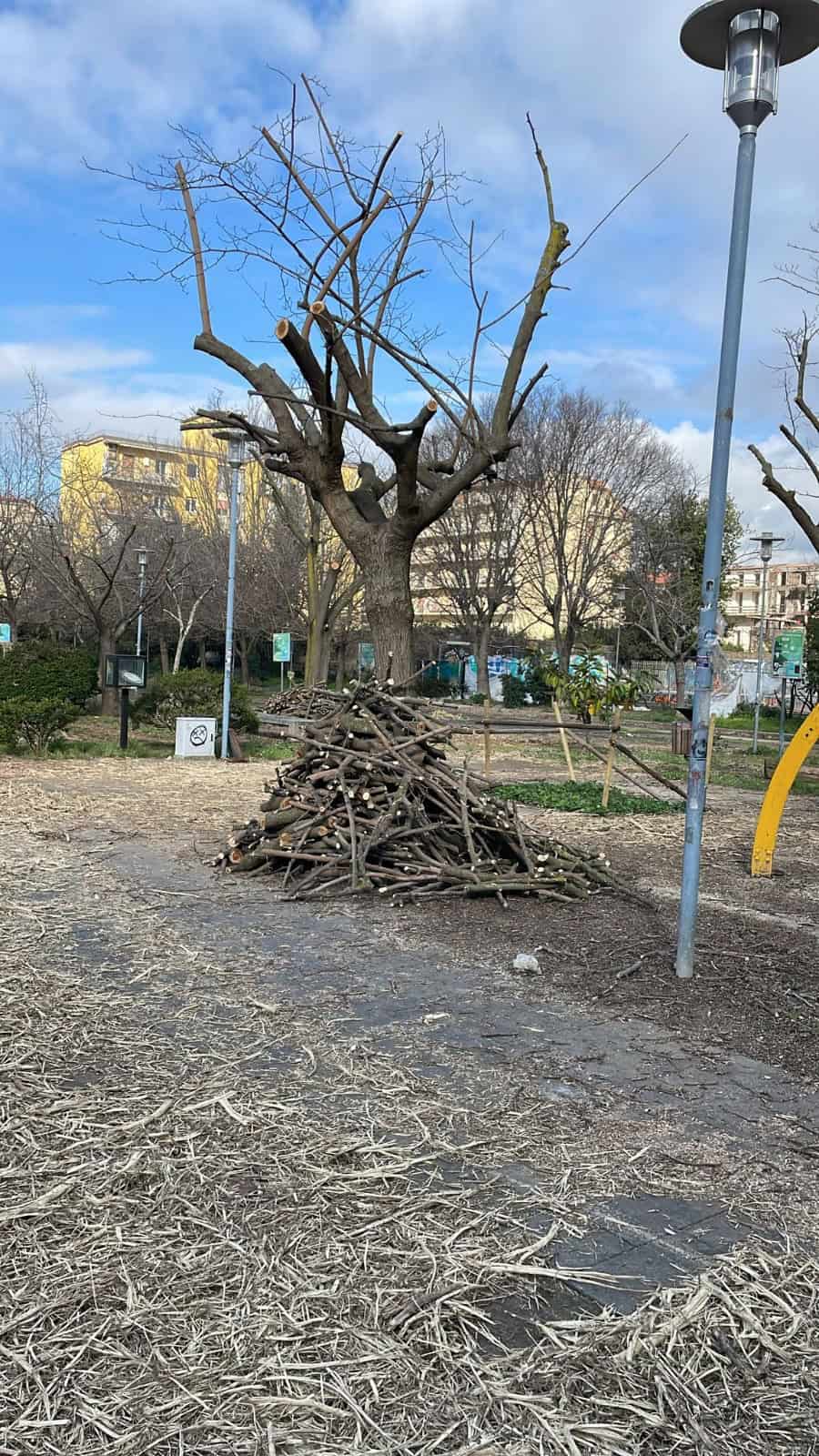 Immagine articolo