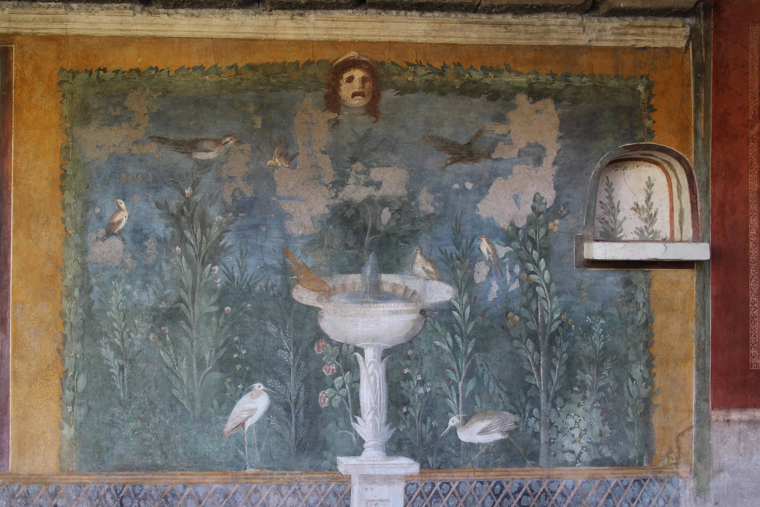 Immagine articolo