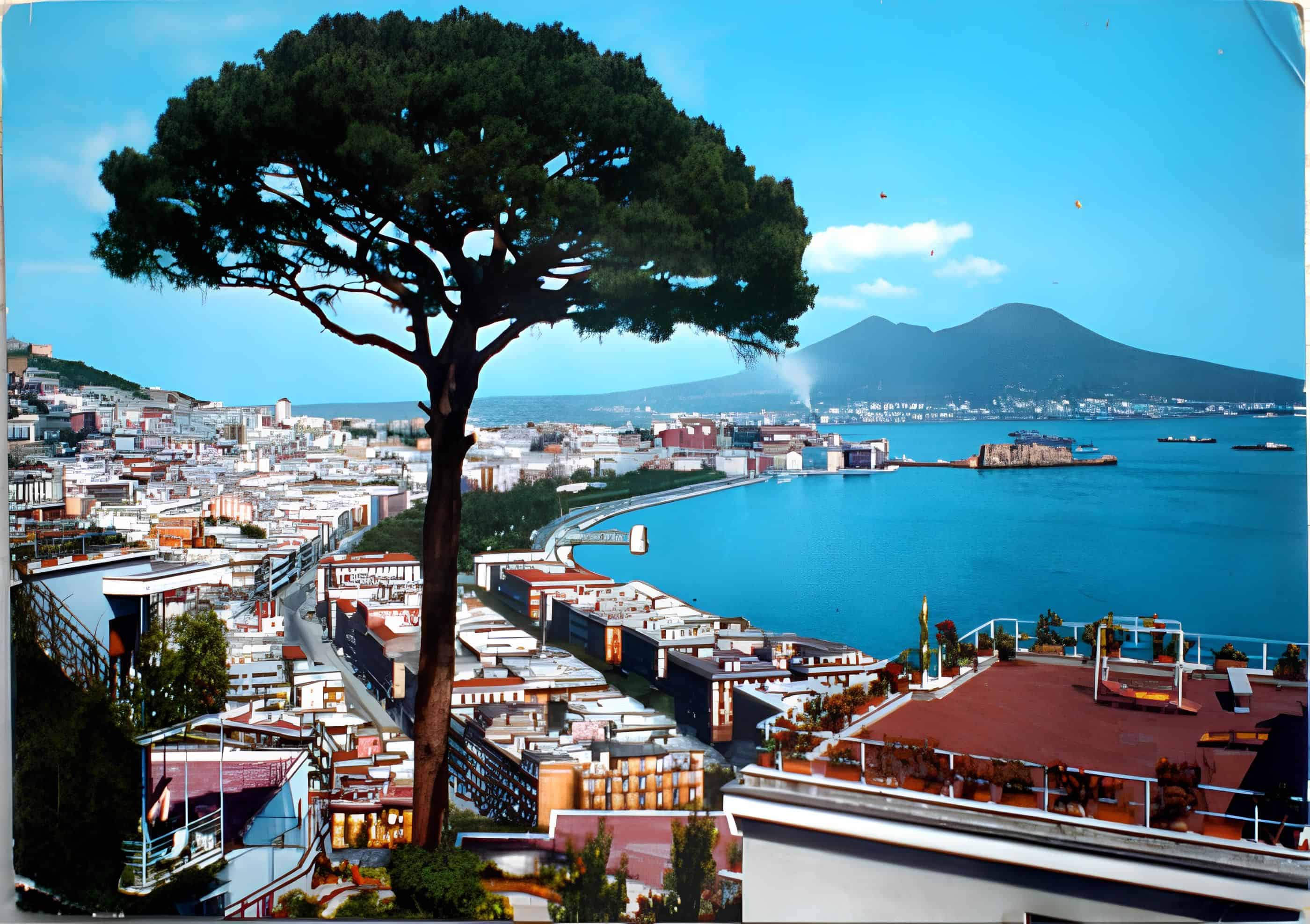 Napoli, la scomparsa dei pini di Posillipo e il nuovo volto del quartiere