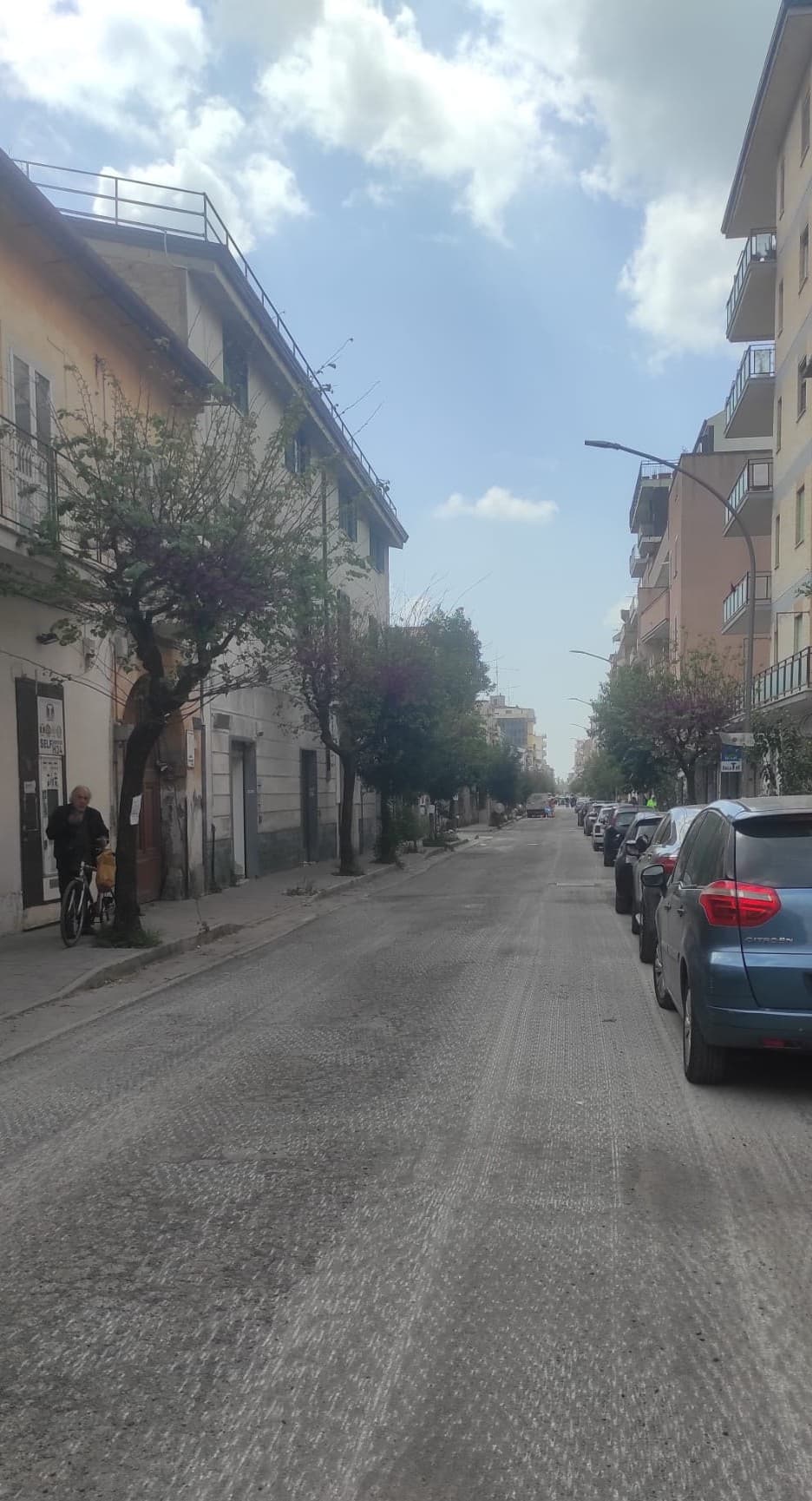 Immagine articolo