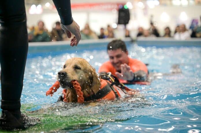 "Quattrozampeinfiera" torna a Napoli: due giorni per celebrare il legame con i nostri animali
