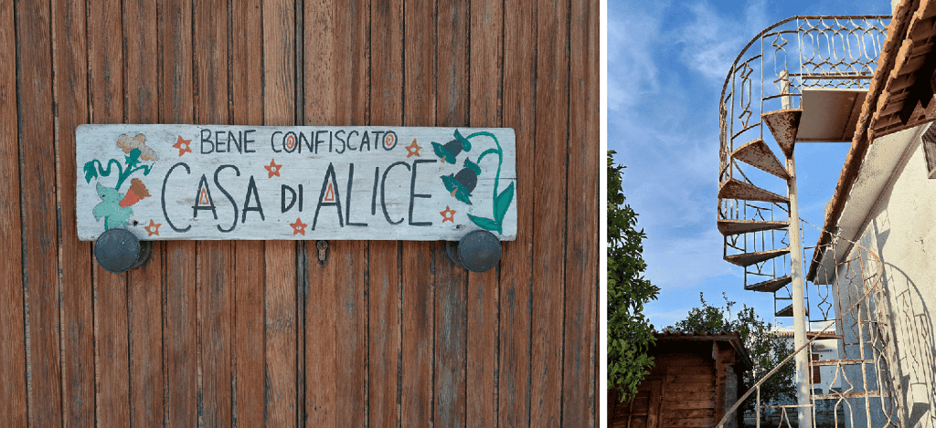 Immagine articolo