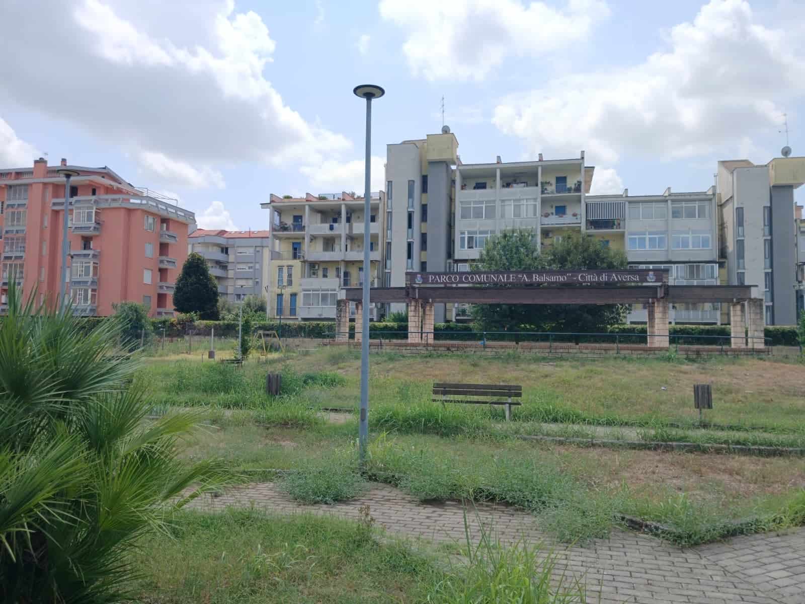 INTERVISTA. Il verde perduto di Aversa e le considerazioni dell'Assessora Dello Margio