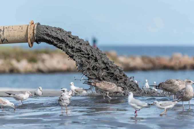 Campania regina dell'illegalità del mare: il report di Legambiente